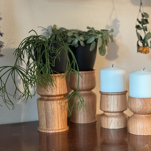 Candles Turn Into Plants - Etsy