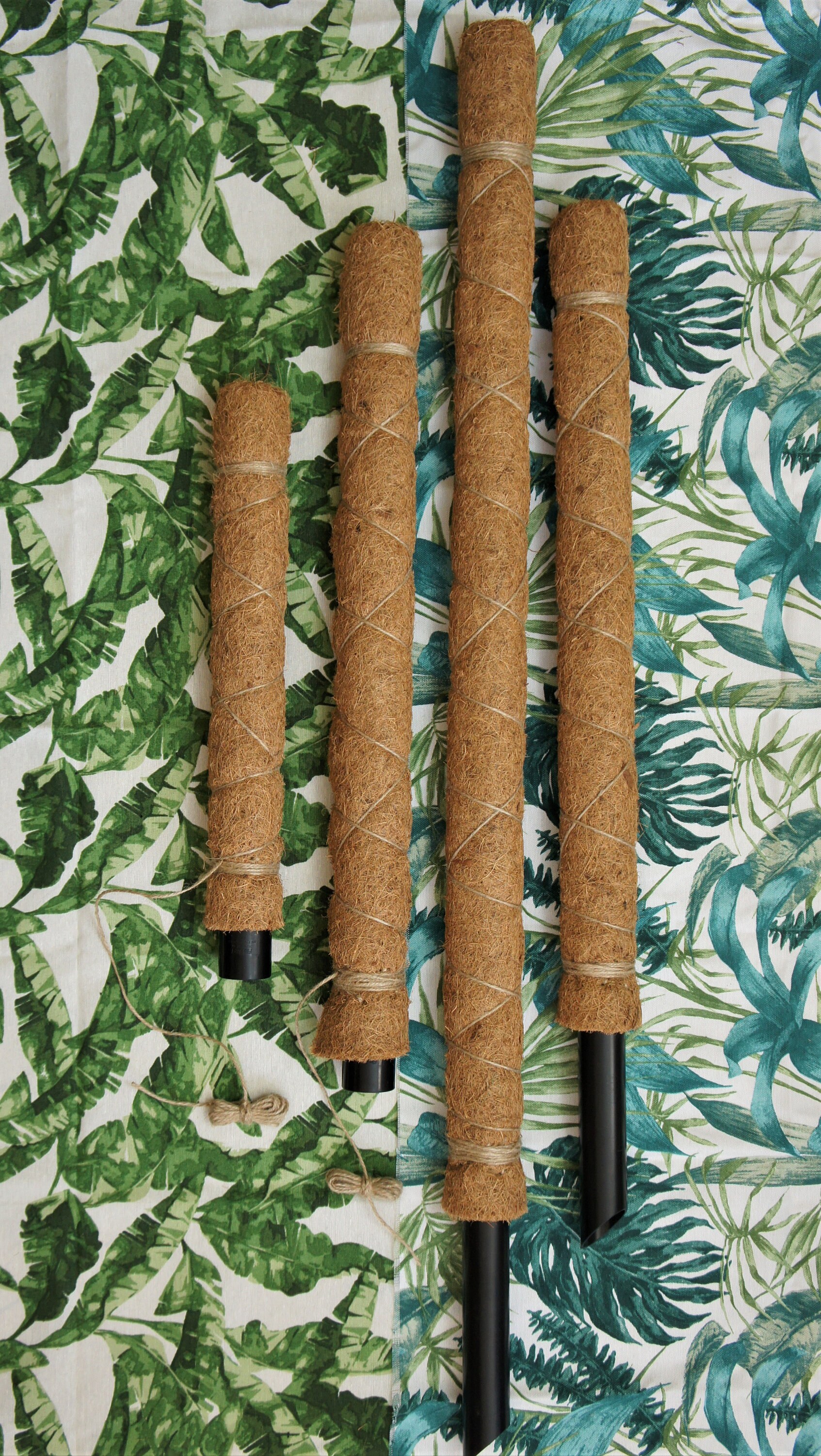 Coco Pole Plant Support Stake extendable for Monstera Etsy