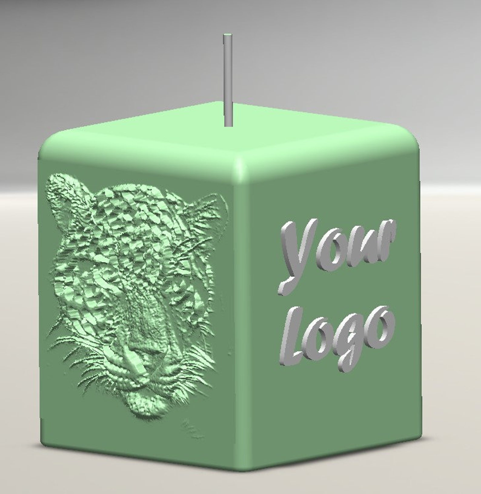 Custom Silicone Mold With Your Picturelogographicstext for Etsy UK