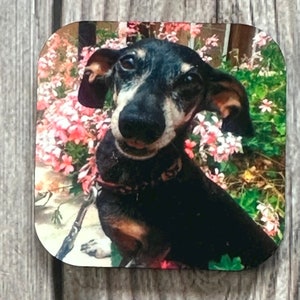 FOTO MAGNETE, regalo per amanti degli animali, magneti da frigo personalizzati