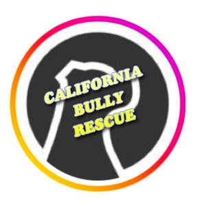 California Bully Rescue, Fundraising for bully breeds in Northern California