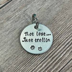 May include: Silver dog tag with the text "Not lost... Just trollin'" and two paw prints.