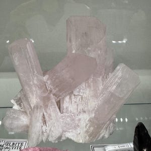 以下が含まれることがあります： 淡いピンク色の結晶の集合体で、鉱物標本かもしれません。 結晶は細長く、半透明で、ざらざらした質感の基部があります。 全体的な形状は不規則で自然で、未研磨の状態を示唆しています。