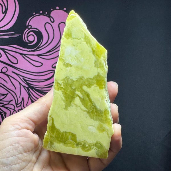 Noble Serpentine Polished Front and Back Standing Piece Washington State 331grams
