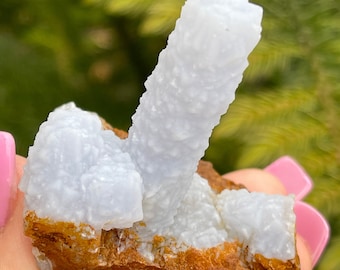 Pseudomorfo de calcedonia de anhidrita. ¡Un hallazgo poco común! ¡Un regalo único para los amantes de los cristales, los minerales y la naturaleza!