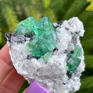 K&ouml;nnte beinhalten: Ein Cluster aus gr&uuml;nen Fluoritkristallen, eingebettet in eine wei&szlig;e Matrix. Die Fluoritkristalle sind scharf und gut definiert, mit einem glasartigen Glanz. Die Matrix ist mit kleinen, schwarzen Kristallen bedeckt.