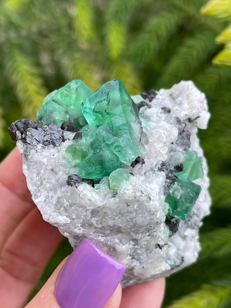 K&ouml;nnte beinhalten: Ein Cluster aus gr&uuml;nen Fluoritkristallen, eingebettet in eine wei&szlig;e Matrix. Die Fluoritkristalle sind scharf und gut definiert, mit einem glasartigen Glanz. Die Matrix ist mit kleinen, schwarzen Kristallen bedeckt.