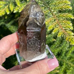 Smoky Quartz Complex Growth Hallelujah Junction 150g