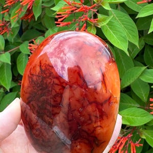 Carnelian Crystal Standing 355 grams