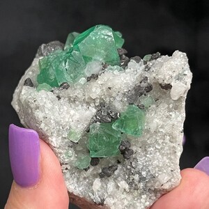 K&ouml;nnte beinhalten: Ein Cluster gr&uuml;ner Fluoritkristalle auf einer wei&szlig;en Matrix mit schwarzen Einschl&uuml;ssen. Die Fluoritkristalle sind scharf und gut definiert, und die Matrix ist rau und strukturiert.