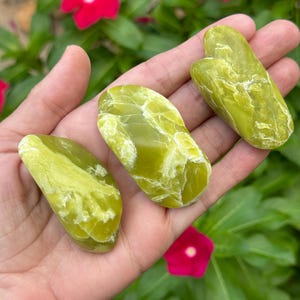 Noble Serpentine | Healerite Tumbled Stone | Crystals