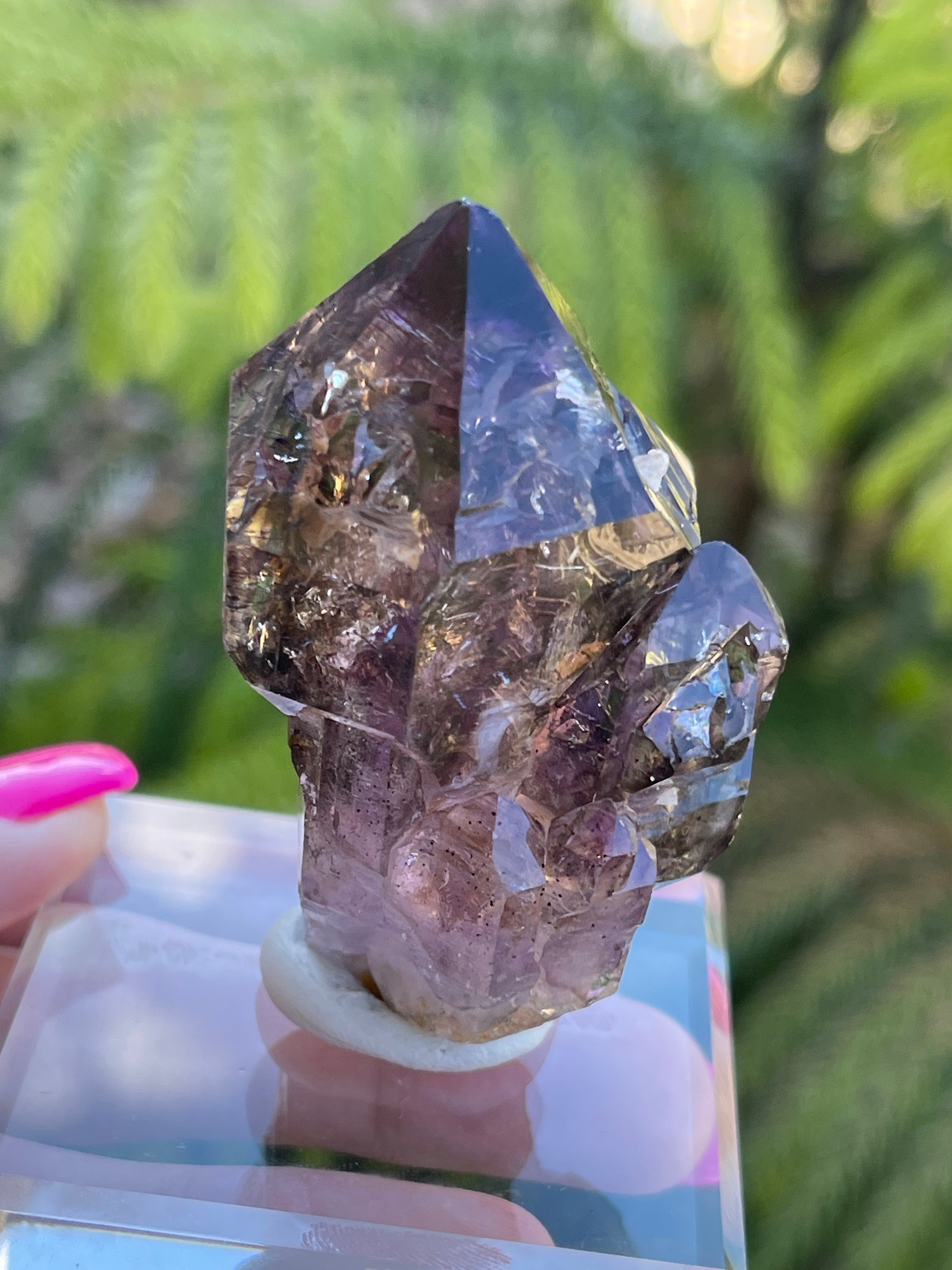 Smoky Amethyst Quartz Scepter Skeletal Growth Zimbabwe
