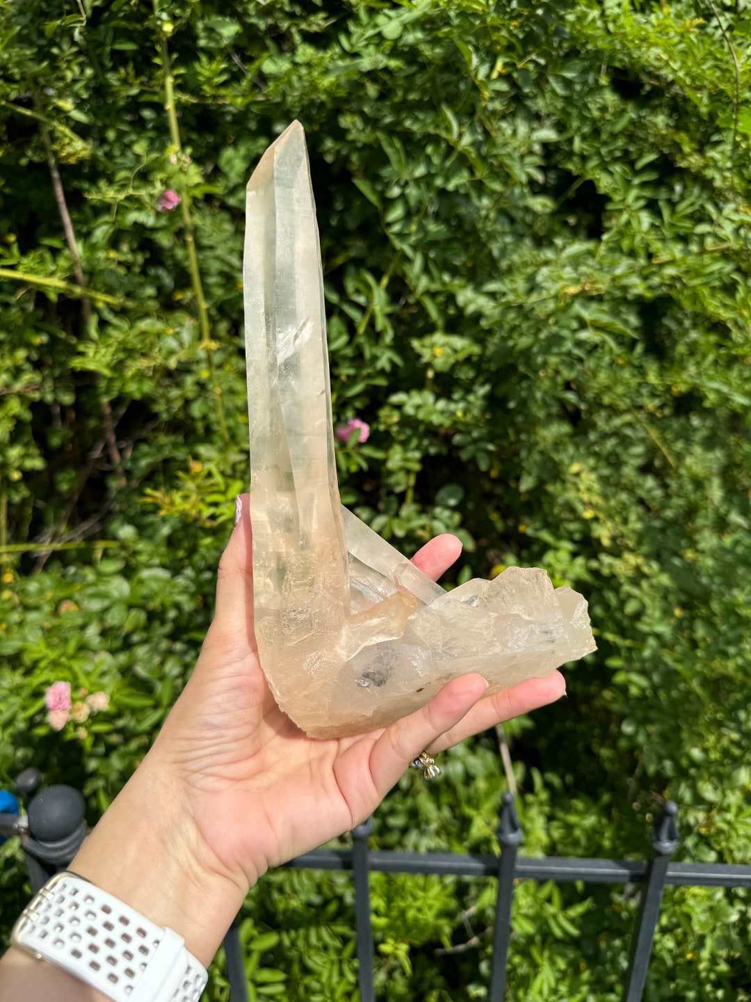 ピンククォーツ レムリアン レーザー ポイント クリスタル、特大サイズ