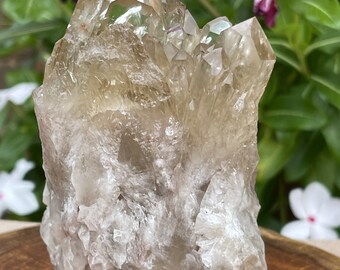 Congo Citrine 100% Naturale / Più grande 515g. / Autentico ammasso di abbondanza non trattato / Kundalini Cristallo manifesto