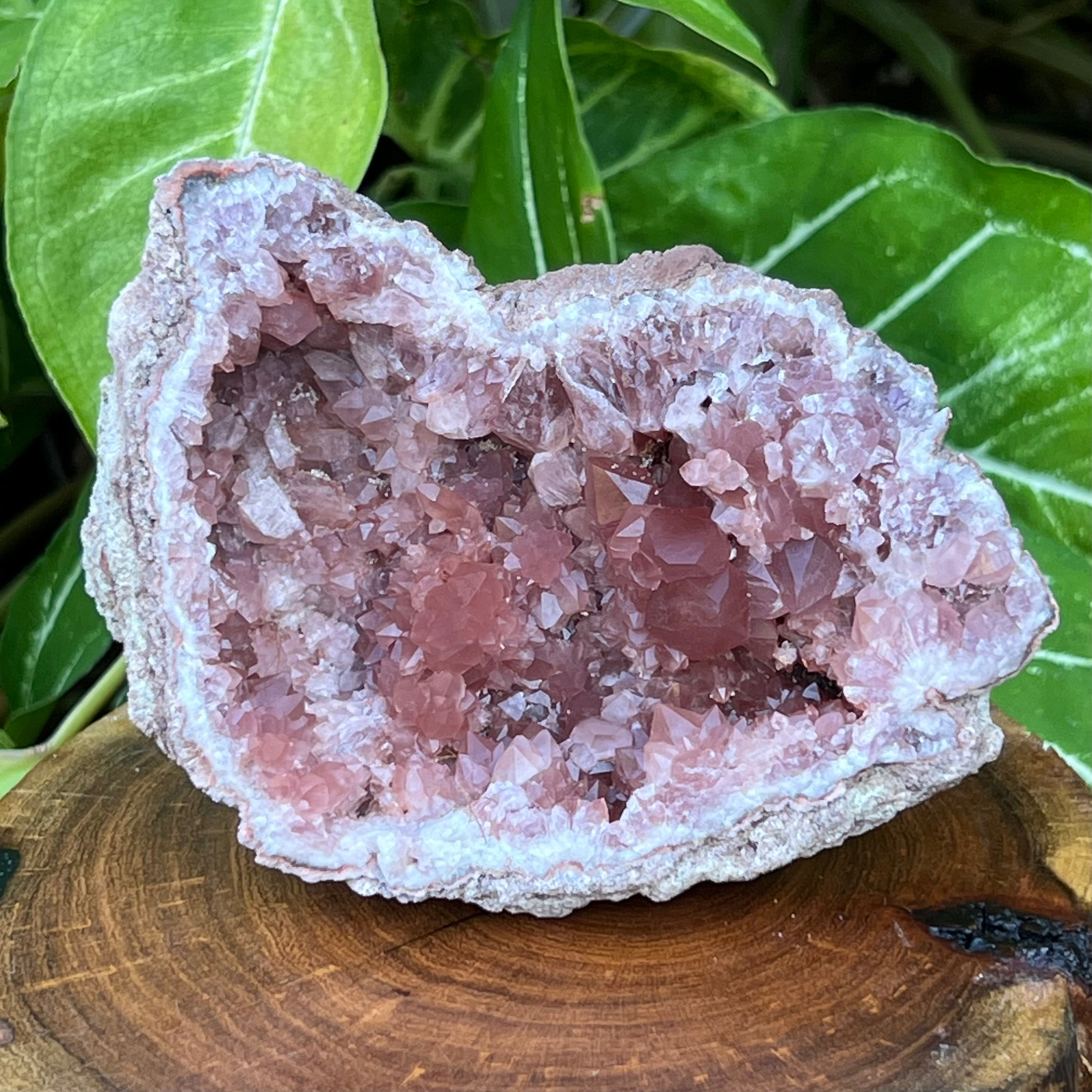 Large Pink Amethyst Darker Crystals Rosette Superb 229 grams Gemmy Crystals!
