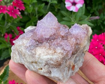 Spirit Cactus Quartz Crystals Castle with Ametrine | Amethyst Spirit Cluster 344grams | Crystals for Healing