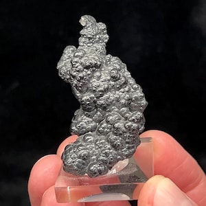 May include: A dark gray mineral specimen with a bubbly, textured surface. The mineral is mounted on a clear, rectangular base. The background is black, highlighting the unique shape and texture of the specimen.