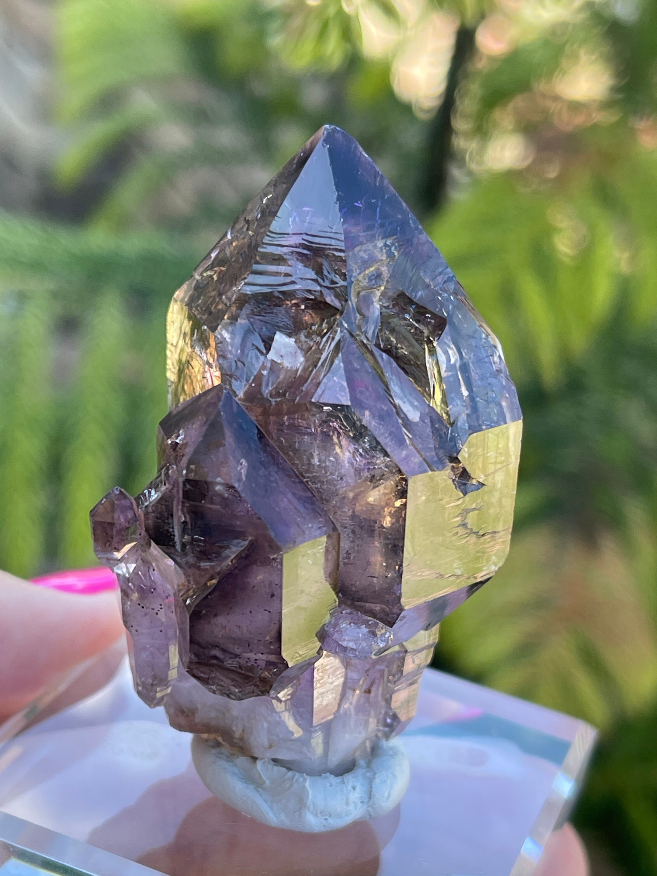 Smoky Amethyst Quartz Scepter Skeletal Growth Zimbabwe