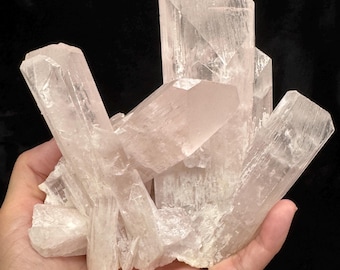 Könnte beinhalten: Ein Cluster aus durchscheinenden, hellrosa Kristallen mit scharfen, geometrischen Formen. Die Kristalle werden in einer Hand vor einem schwarzen Hintergrund gehalten, was ihre natürliche Schönheit und komplizierten Formationen zeigt. Es handelt sich um eine Mineralprobe.