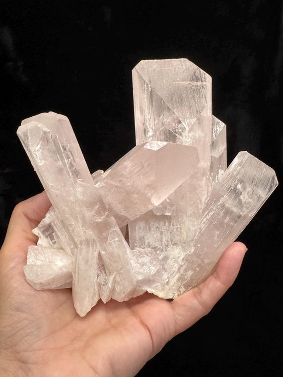Exceptional Danburite Large Crystal Cluster |  Museum Grade Mineral for Collectors! | Gorgeous High End Collection Statement Piece!
