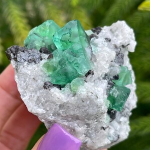 Gemmy Green Fluorite and Sphalerite Crystals.