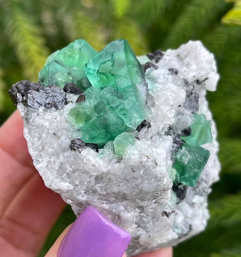 Gemmy Green Fluorite and Sphalerite Crystals.