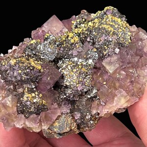 Puede incluir: Primer plano de un espécimen mineral que presenta un grupo de cristales de fluorita morados y transparentes. El espécimen tiene parches de inclusiones metálicas doradas y plateadas, creando un contraste llamativo.