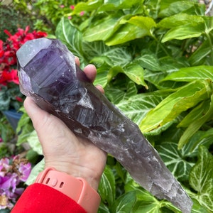 Bahia Amethyst Crystal XLG 1.8lbs. Dragon Tooth, Root Amethyst