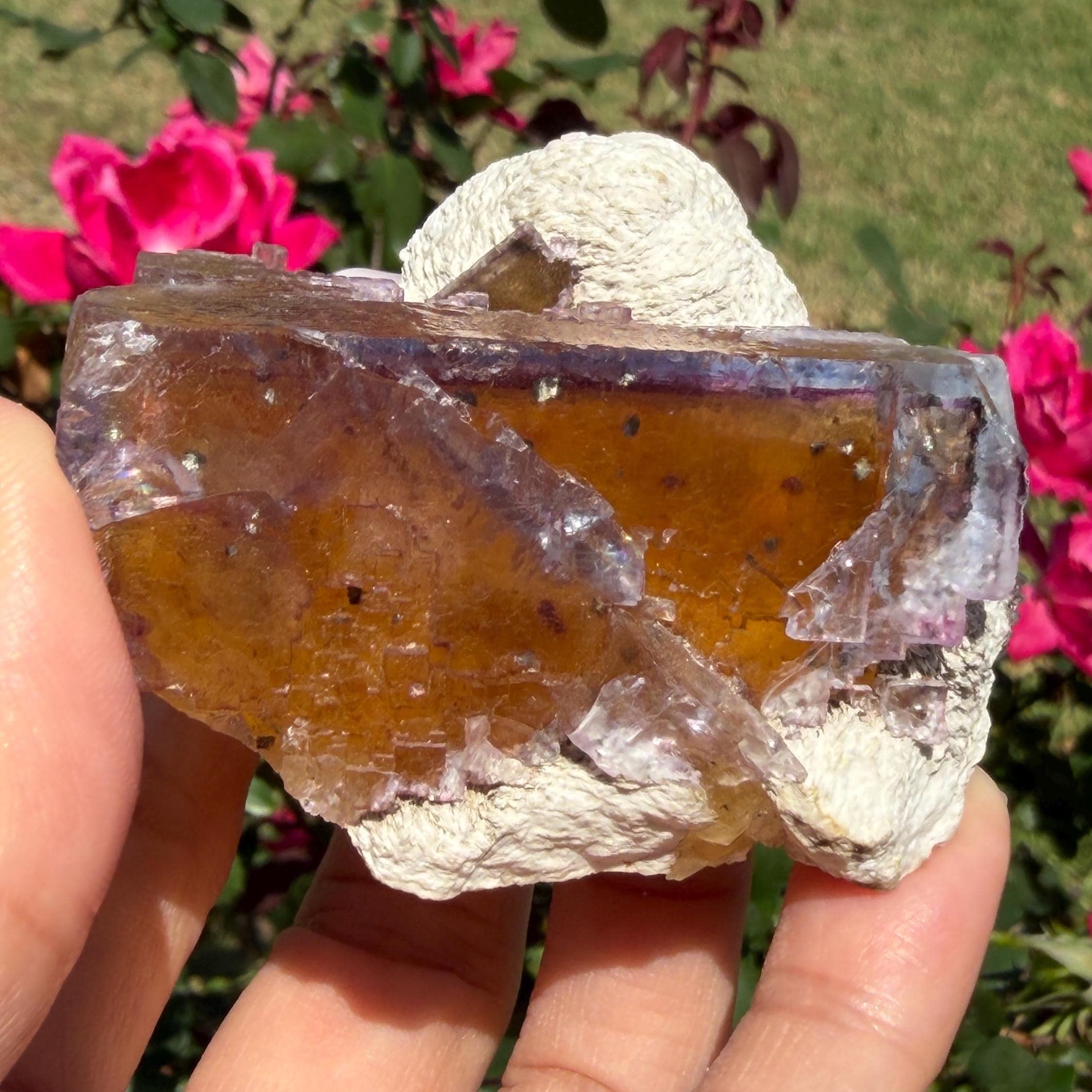 Minerva Mine - Etsy Singapore