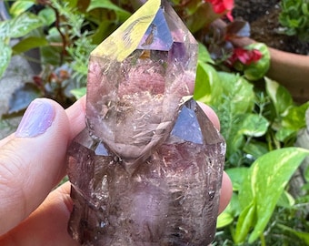 Könnte beinhalten: Ein natürlicher Amethyst-Kristallcluster mit einer spitzen, facettierten Struktur. Der Kristall zeigt einen Farbverlauf, einschließlich Schattierungen von Lila, Braun und Klar. Der Kristall wird vor einem Hintergrund aus grünem Laub und roten Blumen gehalten.