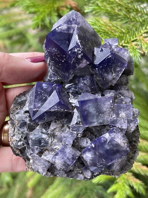 UK Lady Annabella Mine Purple Rain 蛍石 Fluorite Purple Rain Pocket, Lady Annabella Mine, England
