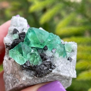 K&ouml;nnte beinhalten: Ein Cluster aus gr&uuml;nen Fluoritkristallen auf einer Matrix aus grauem Gestein. Die Fluoritkristalle sind scharf und gut definiert, mit einem glasartigen Glanz. Die Matrix ist mit kleinen, schwarzen Kristallen bedeckt.