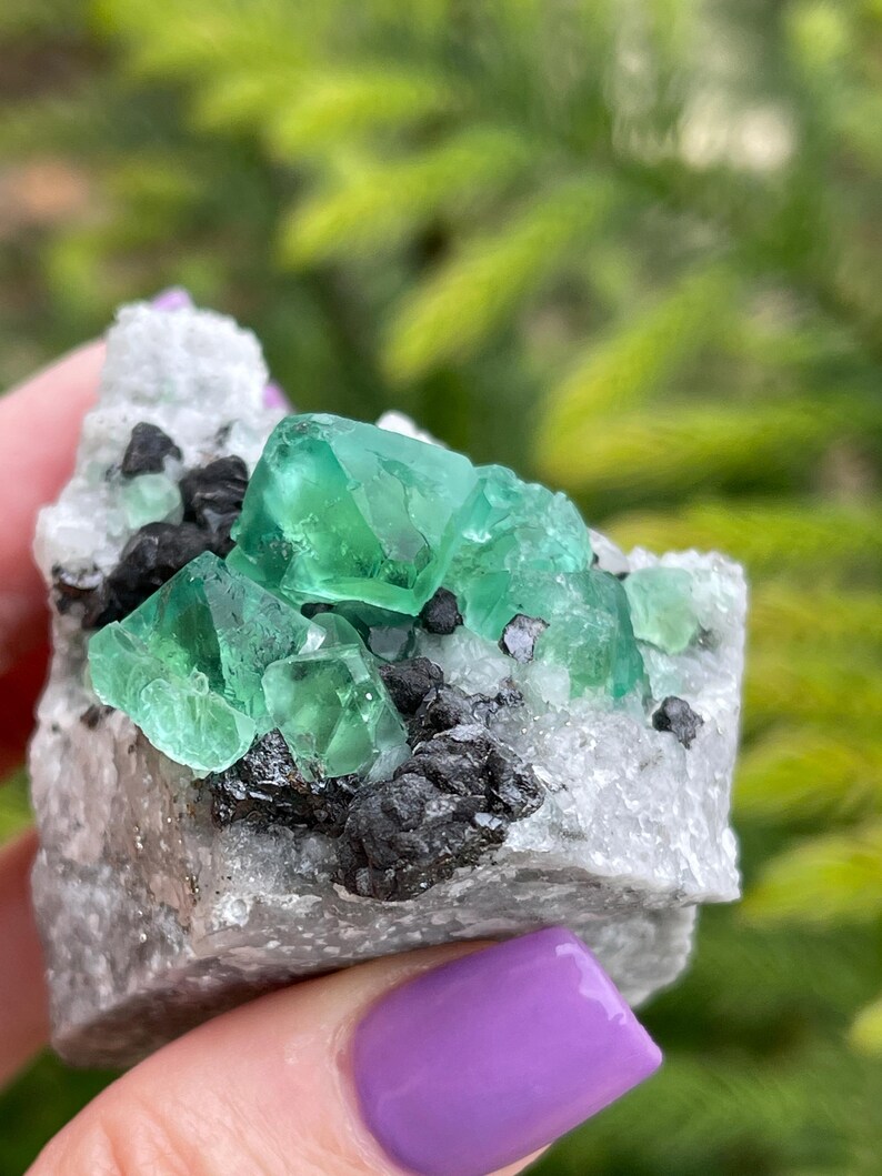 K&ouml;nnte beinhalten: Ein Cluster aus gr&uuml;nen Fluoritkristallen auf einer Matrix aus grauem Gestein. Die Fluoritkristalle sind scharf und gut definiert, mit einem glasartigen Glanz. Die Matrix ist mit kleinen, schwarzen Kristallen bedeckt.