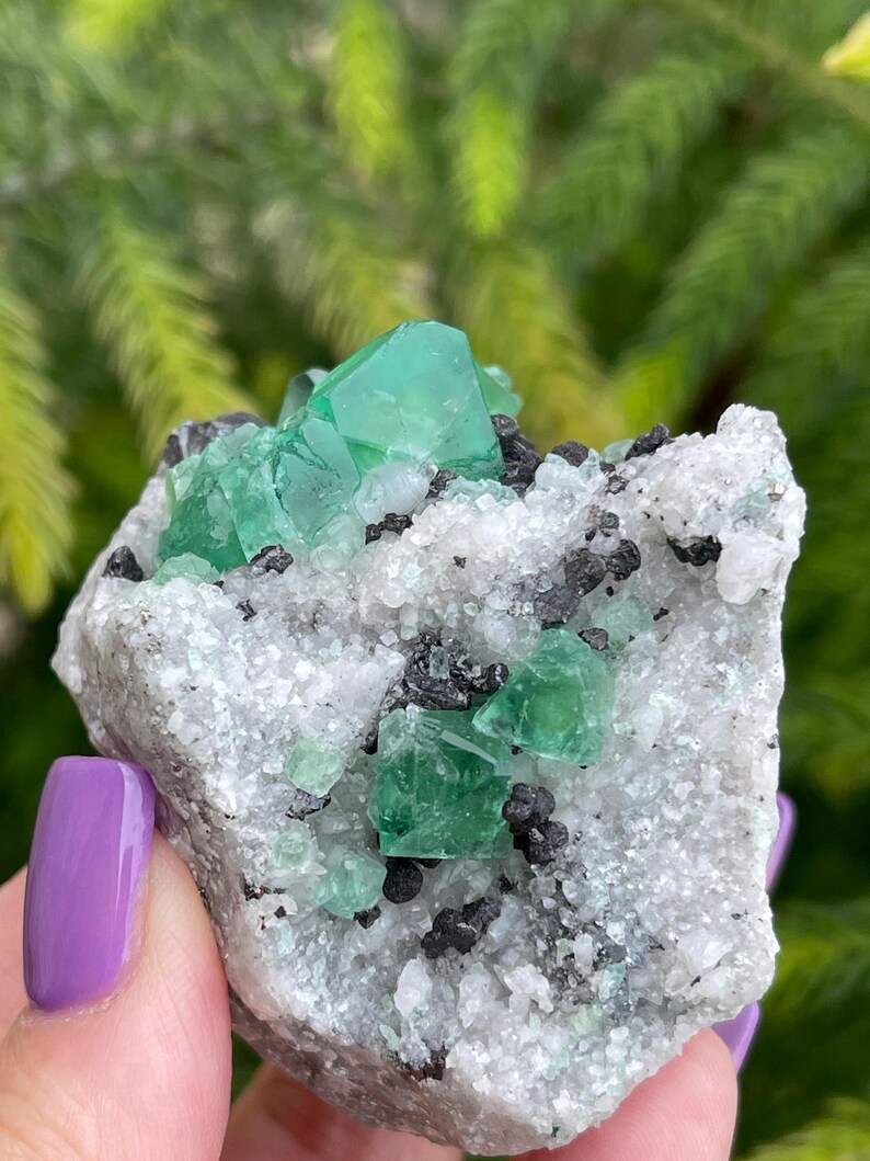 K&ouml;nnte beinhalten: Ein Cluster gr&uuml;ner Fluoritkristalle, eingebettet in eine wei&szlig;e Matrix. Die Kristalle sind scharf und gut definiert, mit einem glasartigen Glanz. Die Matrix ist mit kleinen, schwarzen Kristallen bedeckt.