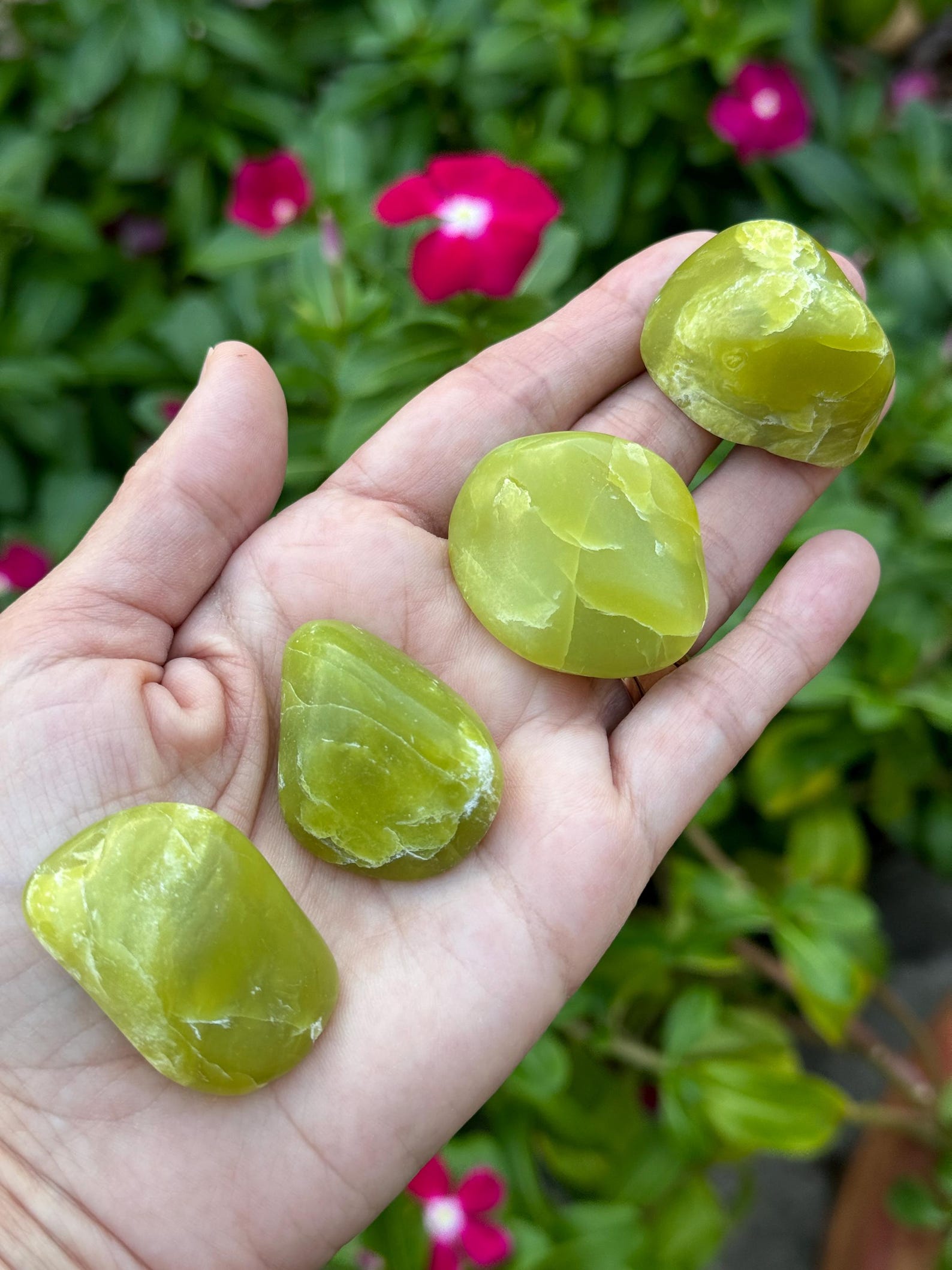 Tumbled green serpentine stones used to stabilize Gemini's airy energy and enhance inner peace.