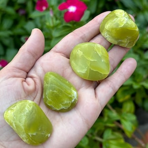 Noble Serpentine | Healerite Tumbled Stone | Polished Crystals Stone | Healing Crystals 2025 Pocket Stones, Healing Stones, Grid Stones