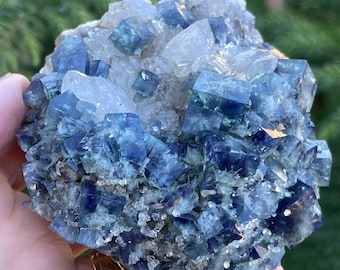 Könnte beinhalten: Ein Mineralexemplar mit einer Ansammlung von tiefblauen, durchscheinenden, würfelförmigen Fluoritkristallen, die mit klaren, gezackten Quarzkristallen vermischt sind. Die Kristallstruktur zeigt verschiedene Nuancen von Marineblau, Indigo und Petrol.