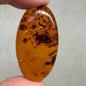 Puede incluir: Una piedra de ámbar pulida, de forma ovalada, que muestra un tono naranja cálido y translúcido. El ámbar contiene inclusiones oscuras, creando un patrón único. La piedra se sostiene entre los dedos, resaltando su tamaño y forma.