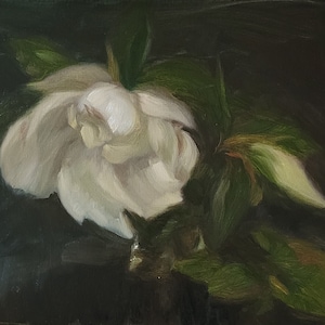 Flowers Oil Painting White Magnolia on Dark Background Modern Wall Art // 12x16” Canvas