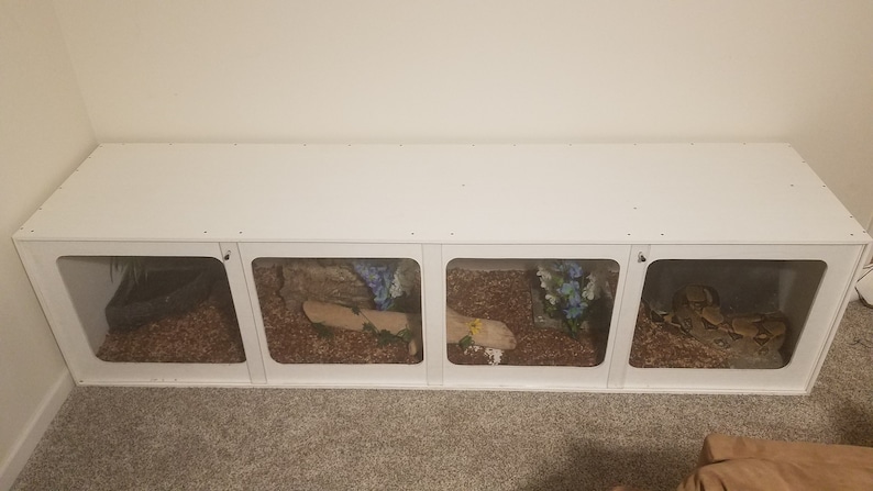May include: White reptile enclosure with three separate compartments, each with a glass front and a brown substrate. The compartments contain a variety of decor, including branches, plants, and rocks. One compartment has a snake inside.