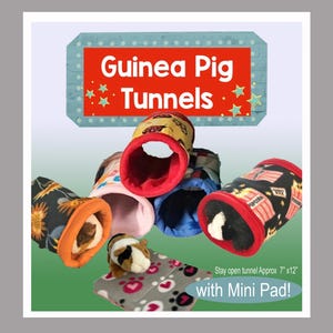 Guinea Pig Fleece Tunnels- Stay Open, Washable- 9&quot; x 13&quot; and Custom- Hedgehog, Rat, Ferret, Small Pets