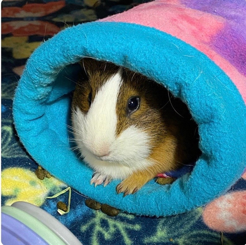 Guinea Pig Fleece Tunnels Stay Open, Washable 9 x 13 and Custom Hedgehog, Rat, Ferret, Small Pets image 9