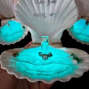 The Noi Shell Box-Made to order-Luxury Ocean Ring Shell Box-will you marry me-beach wedding ringbox,Engagement Ring Holder seashell-proposal