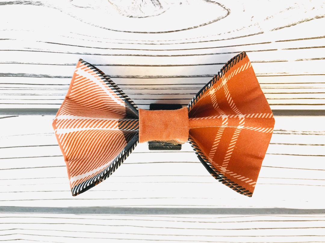 Nœud Papllon Pour Chen, Nœud Papllon Pour Chat, Nœud Papllon Pour Chen De Vacances, Nœud