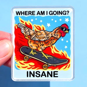 Op de afbeelding: Een rechthoekige sticker met een bruine kip die een zwarte zonnebril draagt en op een skateboard rijdt. De achtergrond toont oranje vlammen en witte sterren tegen een lichtblauwe lucht. De tekst luidt WHERE AM I GOING? bovenaan en INSANE onderaan.