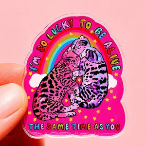 May include: A die-cut sticker featuring two cats cuddling against a rainbow and white clouds on a bright pink background. The text reads I'M SO LUCKY TO BE ALIVE THE SAME TIME AS YOU in colourful letters, surrounded by small yellow stars.