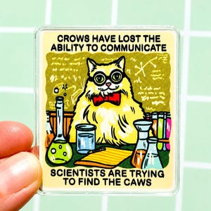 May include: A rectangular acrylic pin featuring a fluffy yellow cat wearing black glasses and a red bow tie. The cat is in a laboratory with beakers and test tubes. Text reads: CROWS HAVE LOST THE ABILITY TO COMMUNICATE. SCIENTISTS ARE TRYING TO FIND THE CAWS.