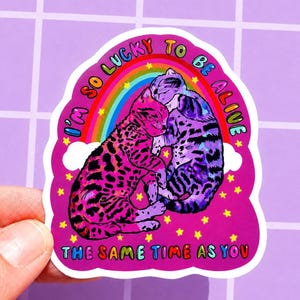 May include: A die-cut sticker featuring two cats cuddling under a rainbow against a dark pink background with yellow stars. The text reads I'M SO LUCKY TO BE ALIVE THE SAME TIME AS YOU in colorful letters. The cats have purple and pink fur patterns.