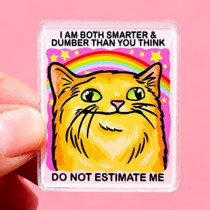 May include: A rectangular acrylic pin featuring an orange cat with green eyes against a pink background with a rainbow and yellow stars. The text reads I AM BOTH SMARTER & DUMBER THAN YOU THINK and DO NOT ESTIMATE ME in black capital letters.