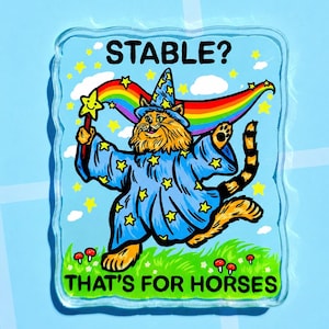 May include: A whimsical, rectangular sticker featuring a cartoon cat wizard with a rainbow and a star wand. The cat wears a blue robe with yellow stars and a pointed hat. Text reads "STABLE?" and "THAT'S FOR HORSES" with yellow stars and red mushrooms.